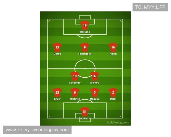 英超球队最新伤病信息